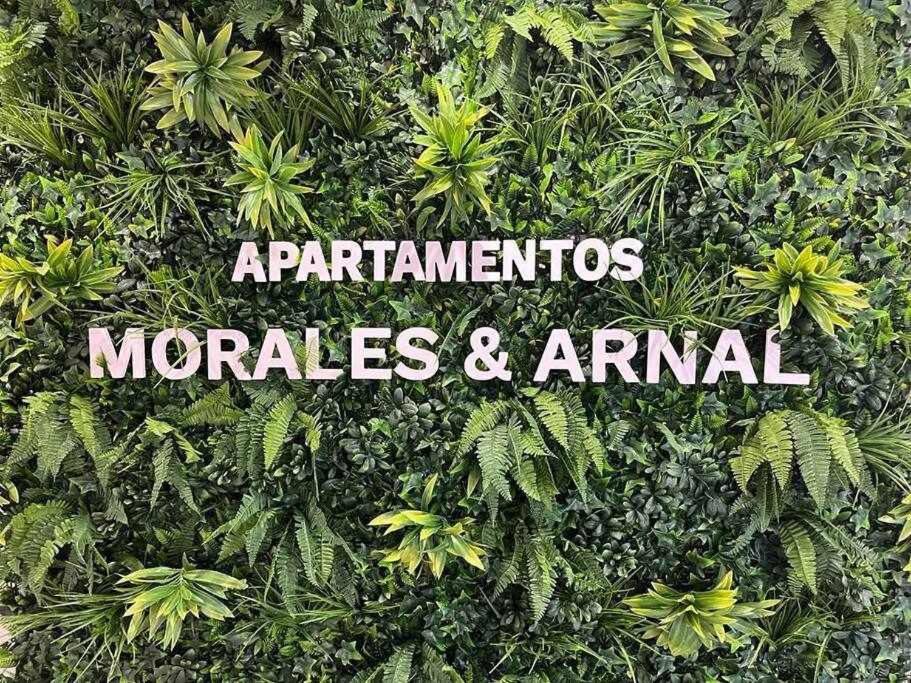 XX D Apartamentos Morales & Arnal Ronda Luaran gambar